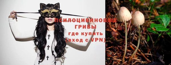 соль курить ск Белокуриха