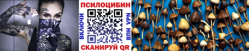 что такое наркотик  Разумное  Галлюциногенные грибы Magic Shrooms 